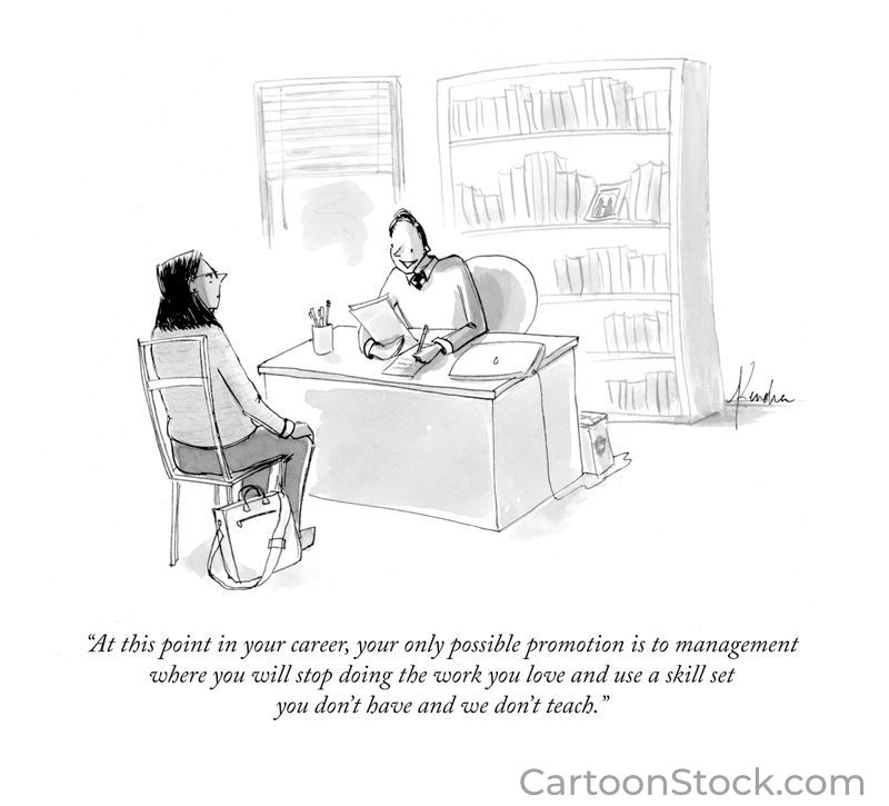 promotion to management